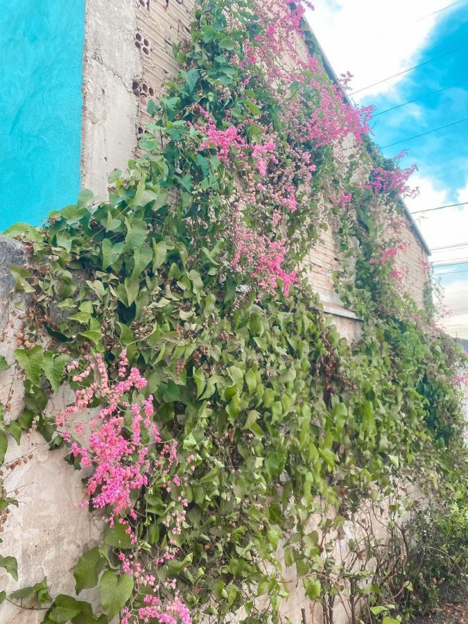 Pousada Girassol Olímpia Εξωτερικό φωτογραφία